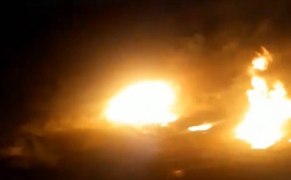 Алматы облысында күшікті тірідей өртеп жіберді - Қазақстан жаңалықтары