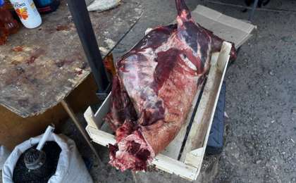 Келісі – 2000 теңге: Еліміздің батысында киік еті сатыла бастады