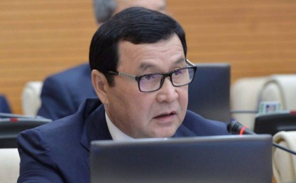 Мемлекеттік қызмет саласында ана тіліміз ресми тілдің тасасында қалып отыр - депутат