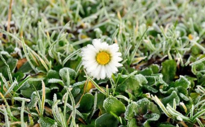 Қазақстанның алты облысында күн 1 градусқа дейін суытады