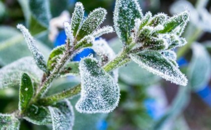 Қазақстанның алты өңіріне 1 градусқа дейін жететін үсік түседі - синоптиктер - Қазақстан жаңалықтары