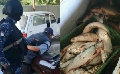 Арасында әйелдер де бар: Түркістан облысында бірнеше жылдан бері іздеуде жүрген қылмыстық топ ұсталды - Қазақстан жаңалықтары