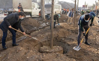 Алматыда отырғызылған 500 ағашқа қаражат қалалық бюджеттен бөлінген