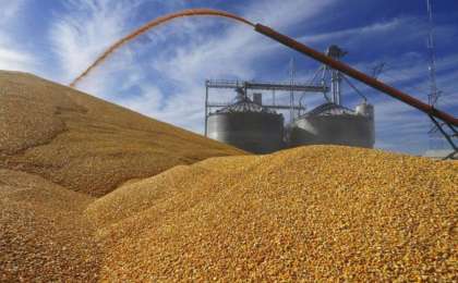 截止目前哈萨克斯坦共收获粮食近337万吨