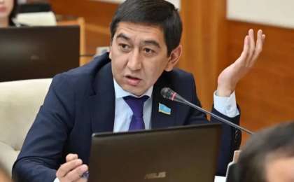 Депутат Ринат Зайытов Болат Назарбаевтың ұлының мүлкін тексеруді талап етті
