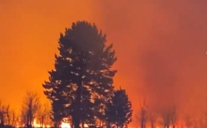 Павлодар облысында ормандағы өрт аумағы мың гектарға жетті