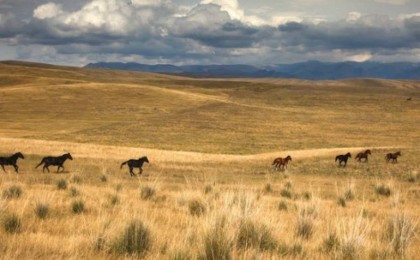 Қазақстандық депутаттар ашаршылыққа ресми түрде «геноцид» деп құқықтық баға беруді талап етті - Қазақстан жаңалықтары