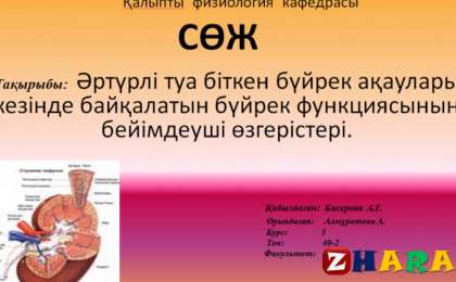 Презентация (слайд): Әртүрлі туа біткен бүйрек ақаулары кезінде байқалатын бүйрек функциясының бейімдеуші өзгерістері