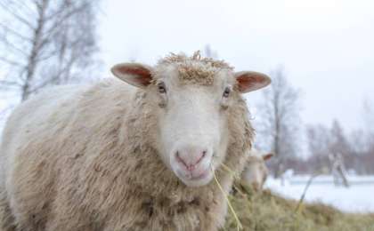 26-28 қарашаға арналған ауа райы болжамы