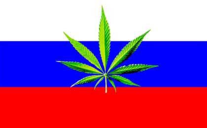 Марихуана Ресейді құртады – Путин