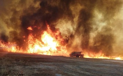 Балқаш көлінің маңында алапат өрт болды – фото, видео