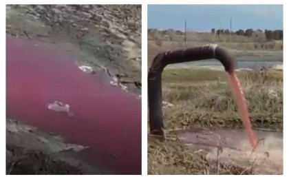 Семей маңында құбырдан аққан қан тұрғындарды шошытты (видео)