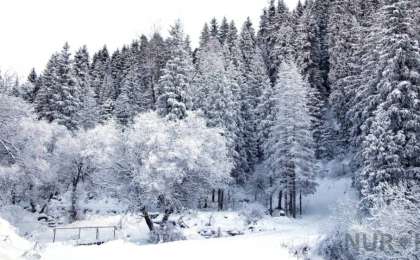 Қыс мезгілінде тауда серуендеудің қандай артықшылықтары бар