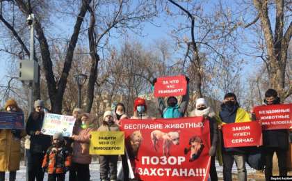 "Жаза қатаңдатылсын": Алматыда жануарларды қорғаушылардың митингі өтті
