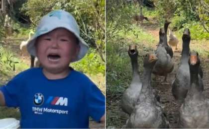 «Қаздан қашқан балаға» 100 қаз сыйға берілді