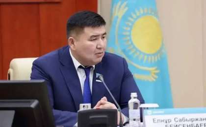 Депутат Бейсенбаев мектептерде телефонға жаппай шектеу енгізуді ұсынды