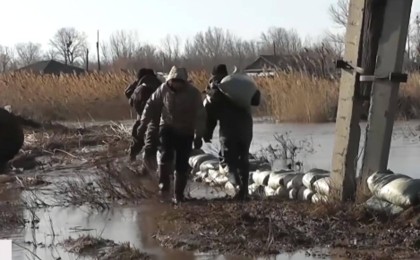 "Халық үйлерін тастап қашқан": ШҚО-да бір ауылды су басып қалды