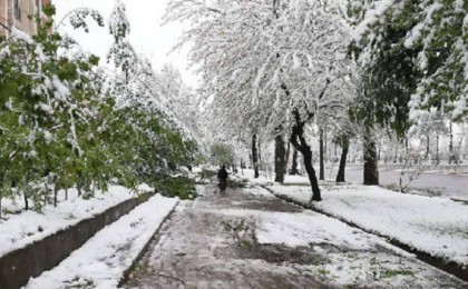 Қар жауады: Шымкентте және қзге 10 облыста дауылды ескерту жарияланды