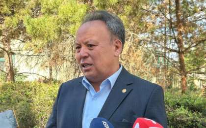 Ақтөбеде қырылған киік саны 108-ге жетті   