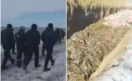 "Біз мұсылманбыз деп айтамыз": Атырау облысында халық шошқа шаруашылығын жабуды сұрап жатыр