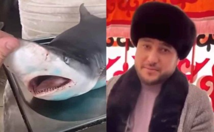 Әбдіжаппар Әлқожа ұлдарының тойына АҚШ-тан акула алдыртып сойған