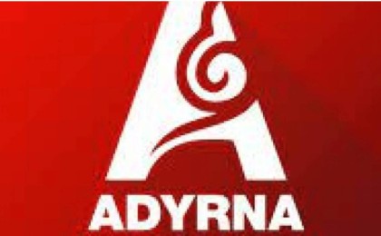 "Адырна" ұлттық порталының парақшасы кибершабуылға ұшырады