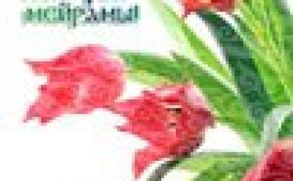 Құттықтау: Ұлыс оң болсын, Ақ мол болсын,