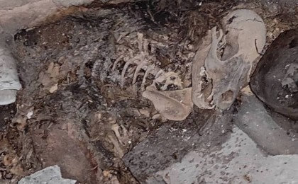 "Зорлап өлтіріп, өртеп жібереді": Алматы облысында 2 ағайындының әрекеті жұртты шошытты