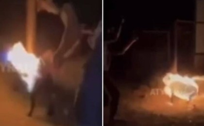 Атырауда итке бензин шашып, өртеп жіберген екі жас баланың бейнежазбасы жаға ұстатты