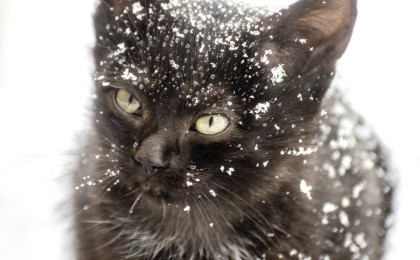 16 қарашаға арналған ауа райы болжамы