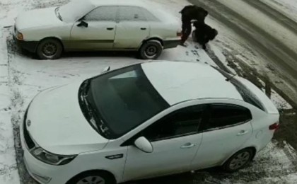 Қостанайлық еркек әйелді адамдардың көзінше пышақтап тастады (ВИДЕО)