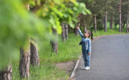Қазақстанда 31 мамырда қандай маңызды оқиғалар болады