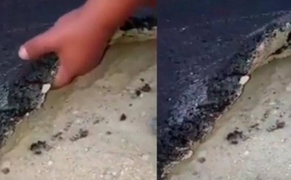 Шенеунік сапасыз "кілем асфальт" үшін пара алғанын мойындады