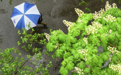 Қазақстанда маусымда ауа райы қандай болады: аптап ыстық, жаңбыр, бұршақ
