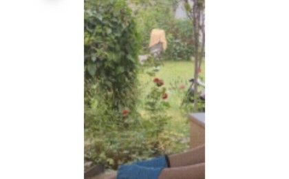 Әжесімен бірге жылап тұрып ішек-қарын тазалаған қыз жұртты күлдірді