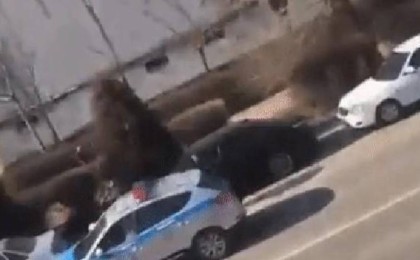 Шымкентте қарулы ер адам атыс ұйымдастырды