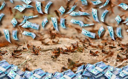 Қазақстанда шегірткені өңдеу бизнесін бастайтындарды мемлекет қолдай ма