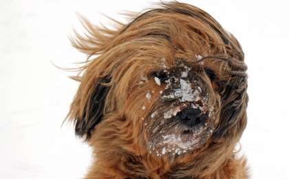 Көктайғақ болып, бұрқасын соғады: 13 қарашаға арналған ауа райы болжамы