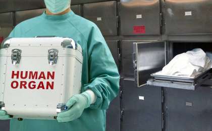 Мәйітханаларда адам ағзасы алынатыны рас па?