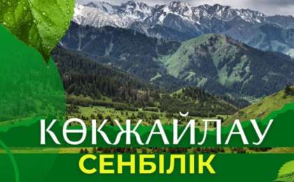 Көкжайлауда кезекті экологиялық сенбілік өтті