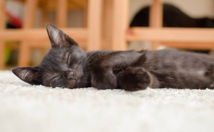 Дәрігер жалқаулықтан арылу әдісін бөлісті