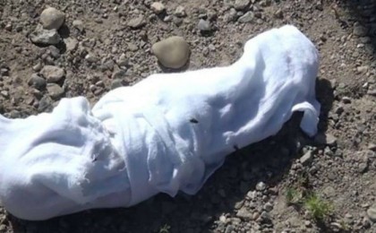 Қостанай облысындағы зираттан сәбидің денесі табылды - Қазақстан жаңалықтары