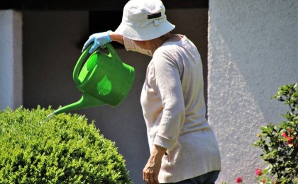 Қызылжарда жиені пышақтаған 89 жастағы кейуана бақилық болды