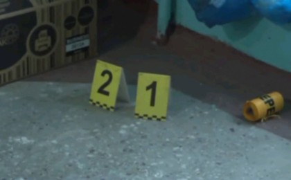 Павлодардағы анасы мен үш баласының өліміне қатысты жаңа деректер белгілі болды