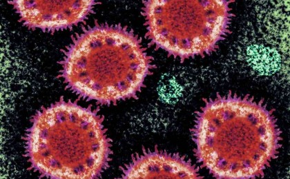 Ғалымдар: Коронавирус ауа райына байланысты емес, адамдар екінші толқынға дайын болуы керек - Қазақстан жаңалықтары