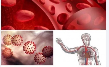 Көп адам тірі қалар еді: Коронавирусты емдеуде тың жаңалық ашылды