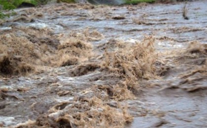 Жамбыл мен Алматы облыстарында су тасқынына қарсы жұмыс жүргізілді - ТЖМ