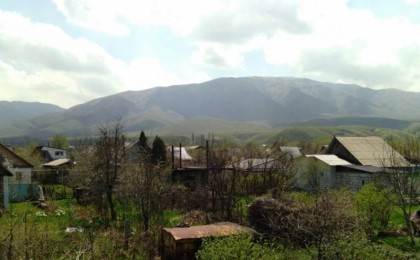 Мен қытай болсам да, бұзауым местный