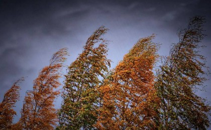 Жауын-Шашын: Қарашаның 7-сі күнгі ауа райы болжамы