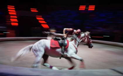 Қазақстандық цирк әртісі Қытайда комаға түсті